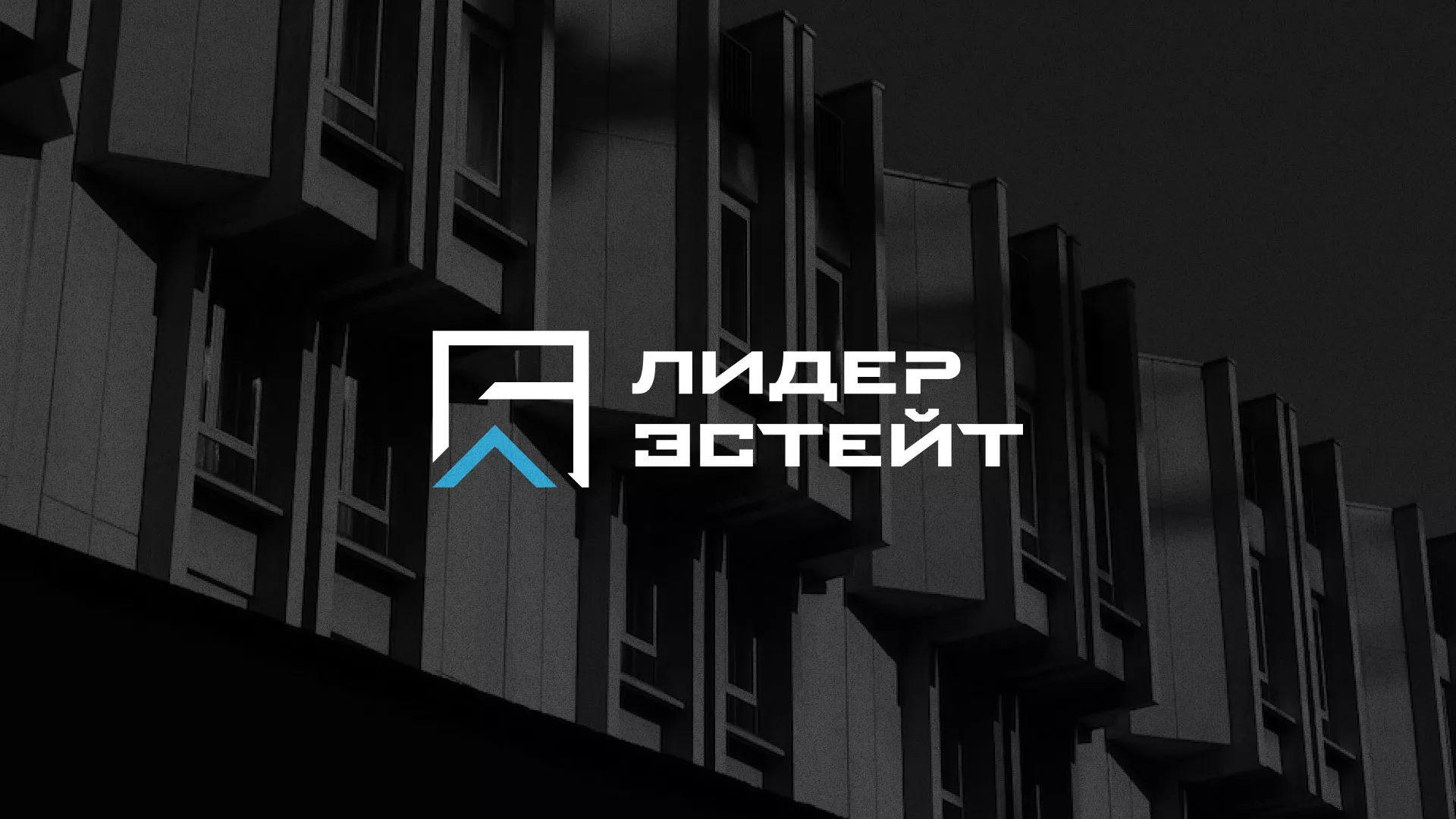Разработка логотипа агентства недвижимости «Лидер Эстейт» в Усолье-Сибирском